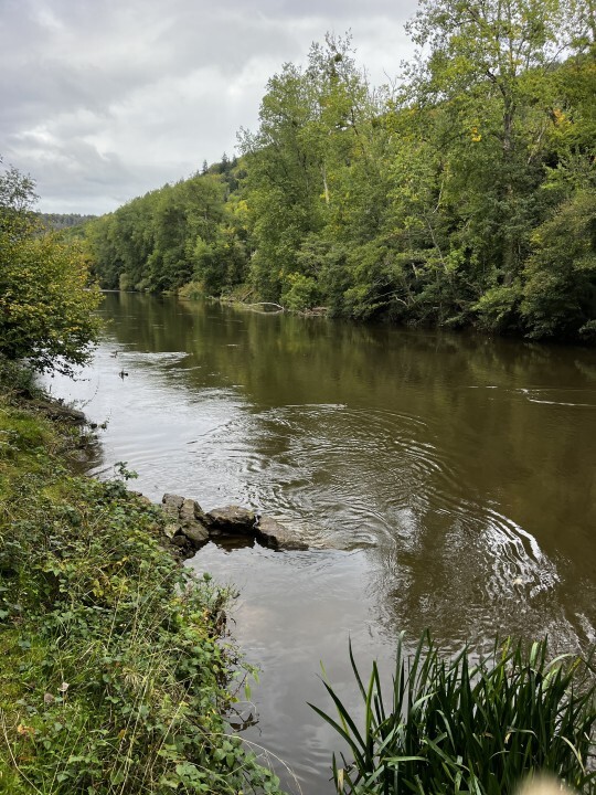 Lower Symonds Yat - Stuart Foskett